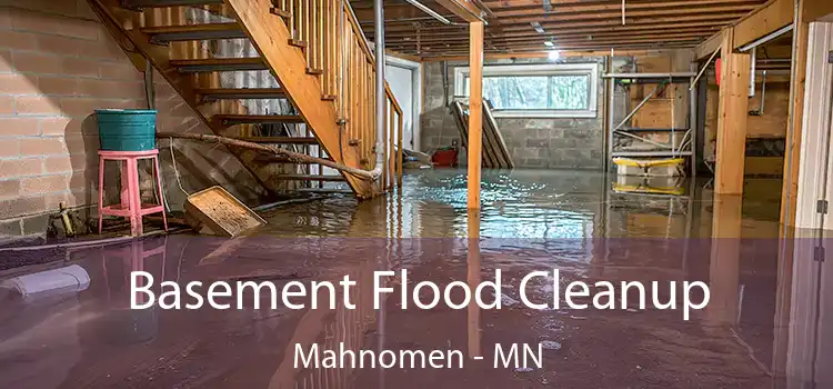 Basement Flood Cleanup Mahnomen - MN