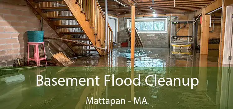 Basement Flood Cleanup Mattapan - MA