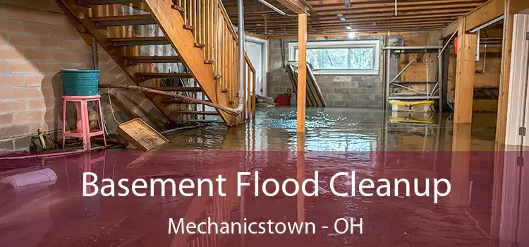 Basement Flood Cleanup Mechanicstown - OH