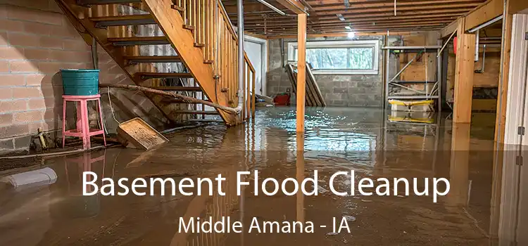 Basement Flood Cleanup Middle Amana - IA