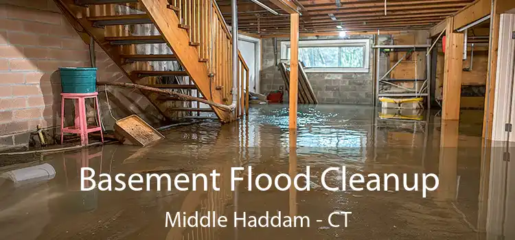 Basement Flood Cleanup Middle Haddam - CT