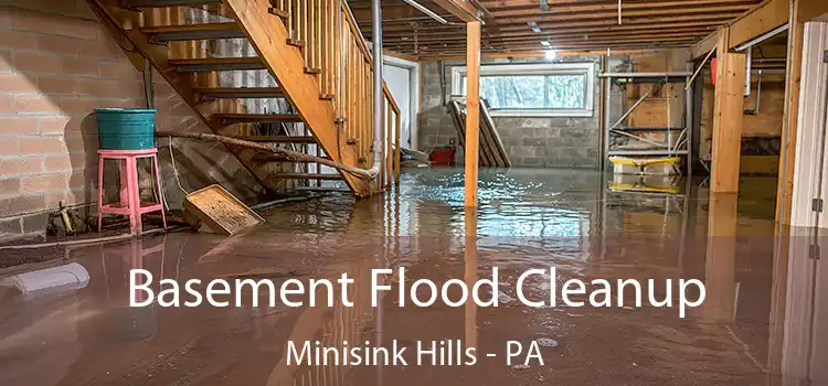 Basement Flood Cleanup Minisink Hills - PA