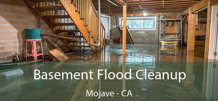 Basement Flood Cleanup Mojave - CA