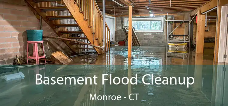 Basement Flood Cleanup Monroe - CT