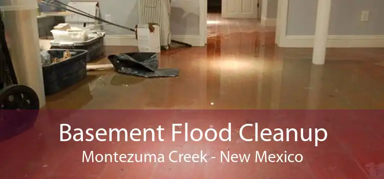 Basement Flood Cleanup Montezuma Creek - New Mexico