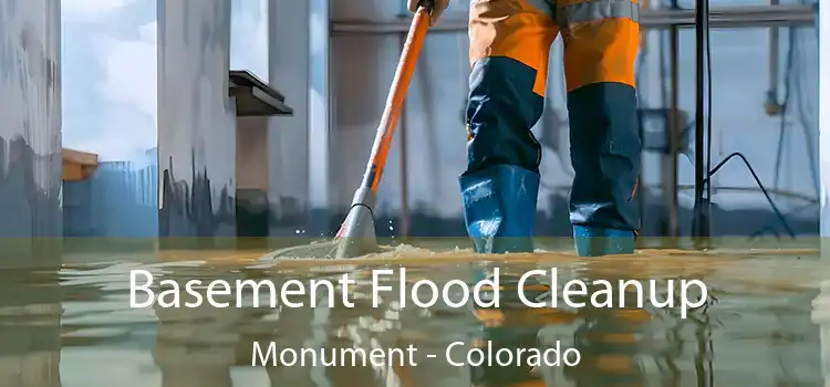 Basement Flood Cleanup Monument - Colorado