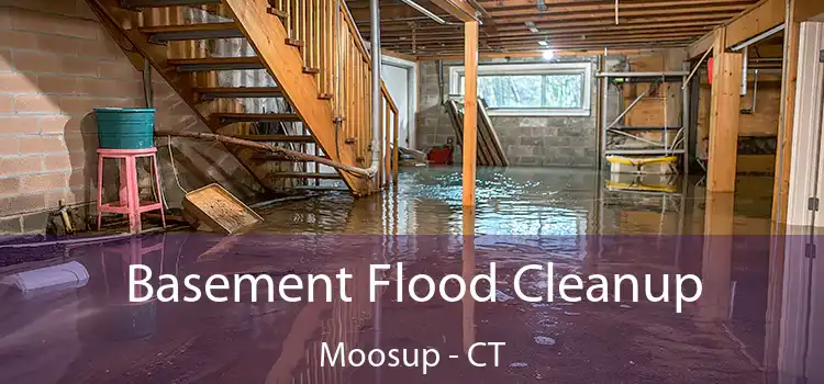 Basement Flood Cleanup Moosup - CT