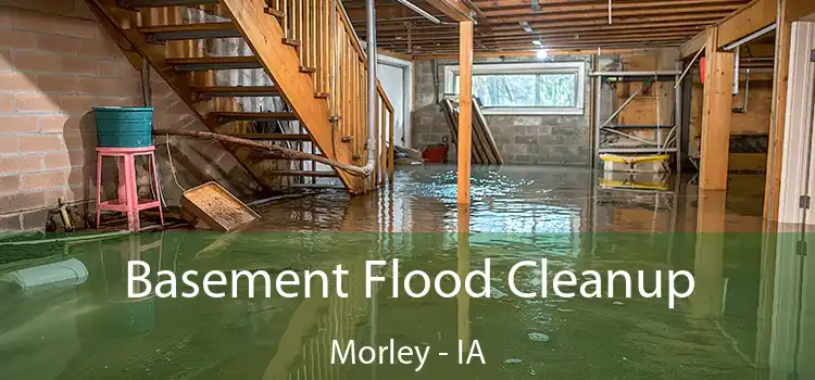 Basement Flood Cleanup Morley - IA