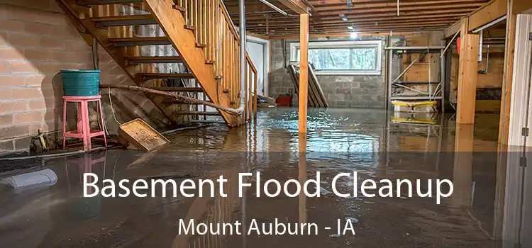 Basement Flood Cleanup Mount Auburn - IA