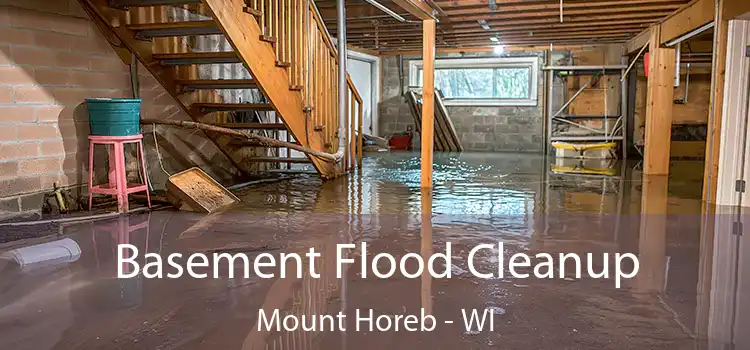 Basement Flood Cleanup Mount Horeb - WI