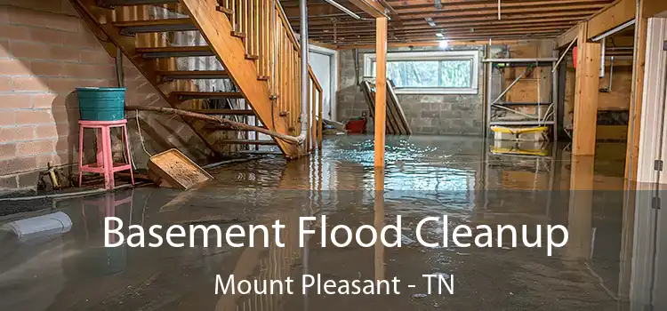 Basement Flood Cleanup Mount Pleasant - TN