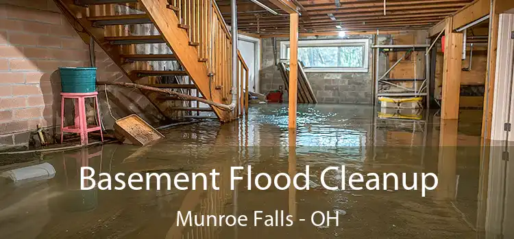 Basement Flood Cleanup Munroe Falls - OH