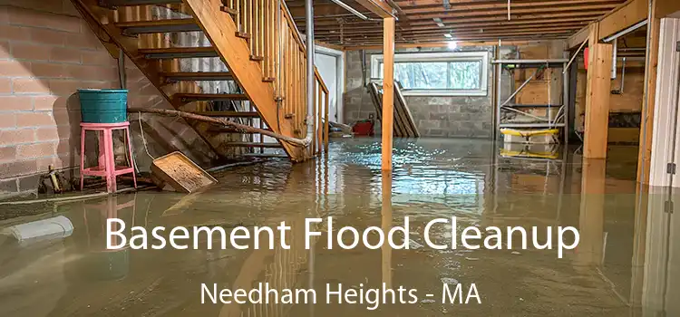 Basement Flood Cleanup Needham Heights - MA