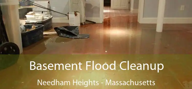 Basement Flood Cleanup Needham Heights - Massachusetts