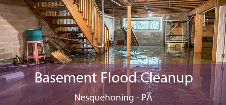 Basement Flood Cleanup Nesquehoning - PA