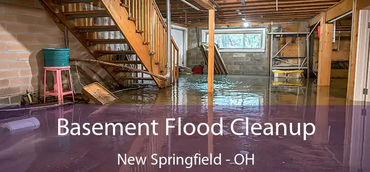 Basement Flood Cleanup New Springfield - OH