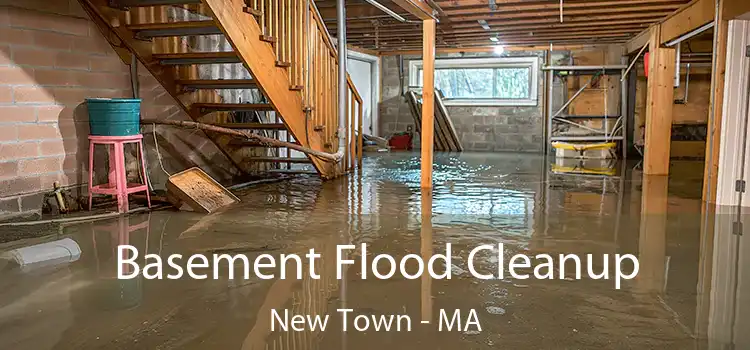 Basement Flood Cleanup New Town - MA