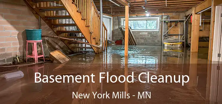 Basement Flood Cleanup New York Mills - MN