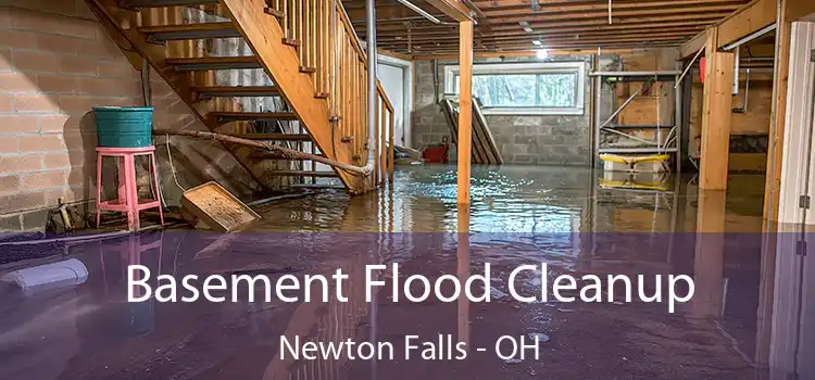 Basement Flood Cleanup Newton Falls - OH