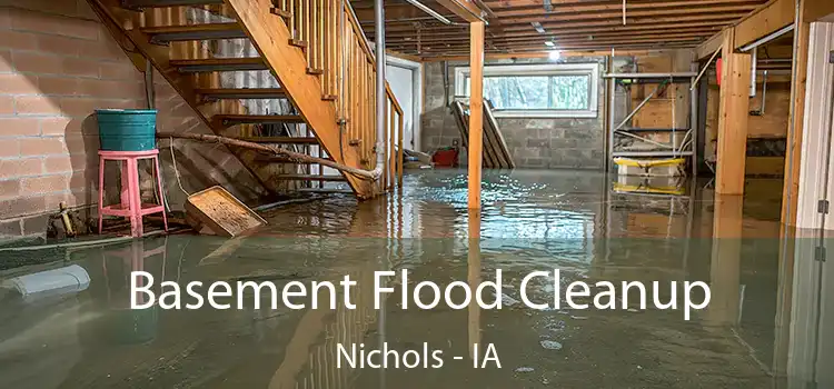 Basement Flood Cleanup Nichols - IA