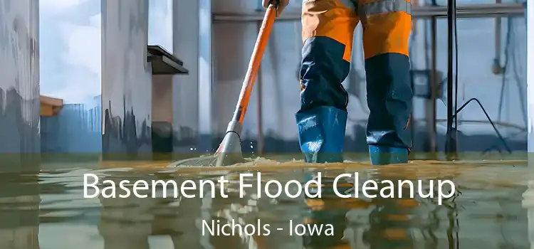 Basement Flood Cleanup Nichols - Iowa