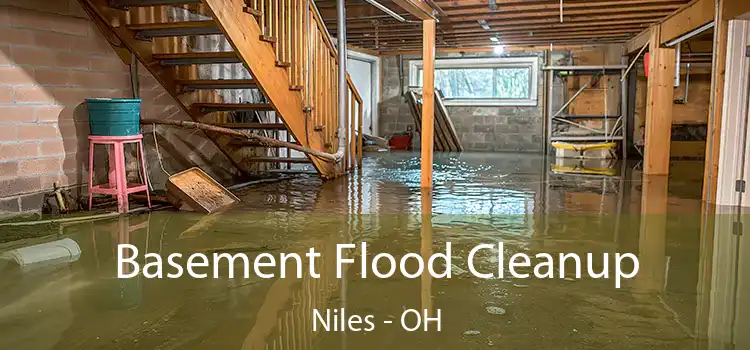 Basement Flood Cleanup Niles - OH