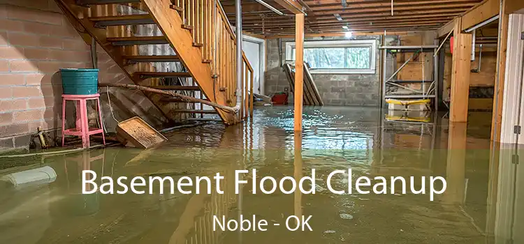 Basement Flood Cleanup Noble - OK