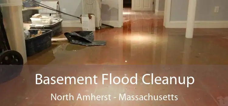 Basement Flood Cleanup North Amherst - Massachusetts