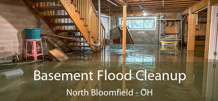 Basement Flood Cleanup North Bloomfield - OH