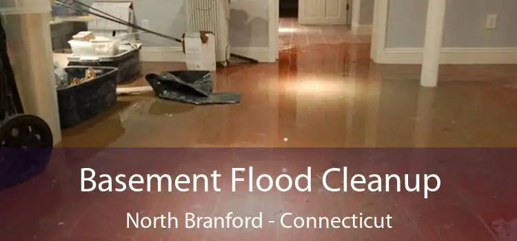 Basement Flood Cleanup North Branford - Connecticut