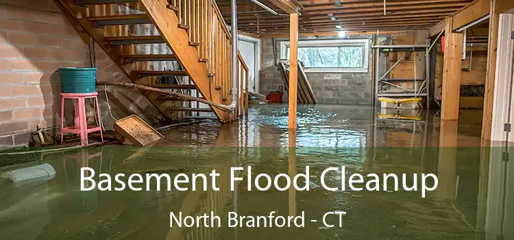 Basement Flood Cleanup North Branford - CT