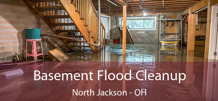 Basement Flood Cleanup North Jackson - OH