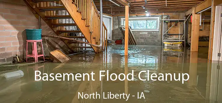 Basement Flood Cleanup North Liberty - IA