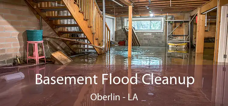 Basement Flood Cleanup Oberlin - LA