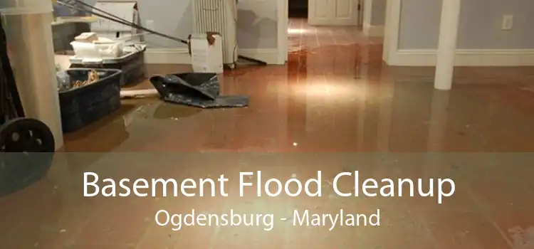 Basement Flood Cleanup Ogdensburg - Maryland