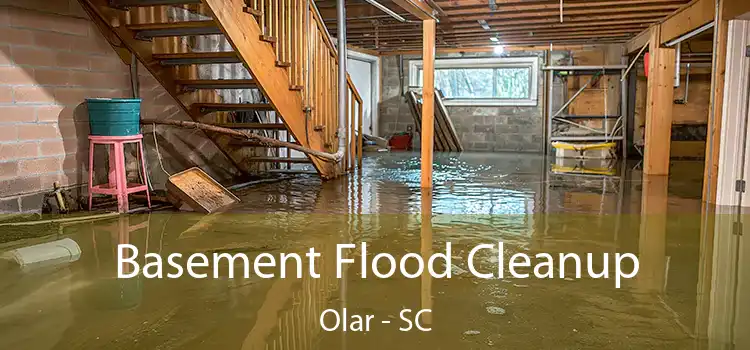 Basement Flood Cleanup Olar - SC