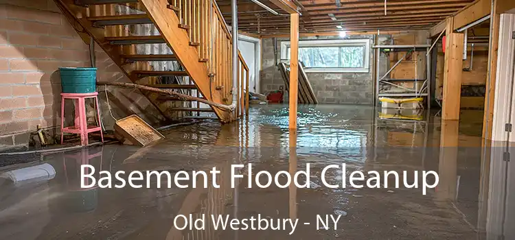 Basement Flood Cleanup Old Westbury - NY