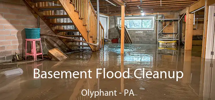 Basement Flood Cleanup Olyphant - PA