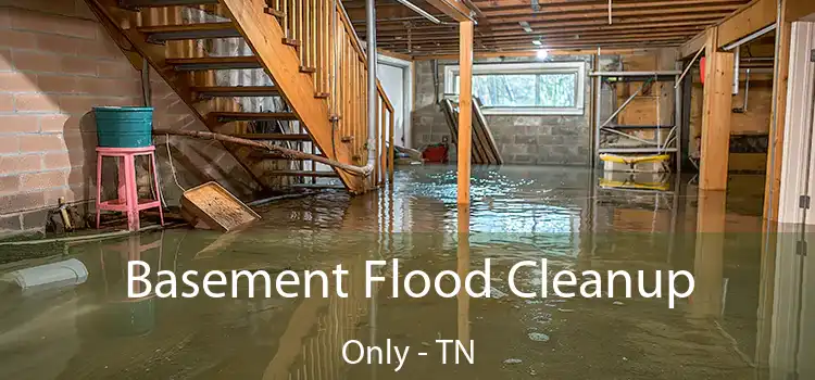 Basement Flood Cleanup Only - TN