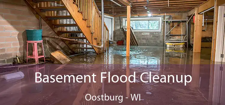 Basement Flood Cleanup Oostburg - WI