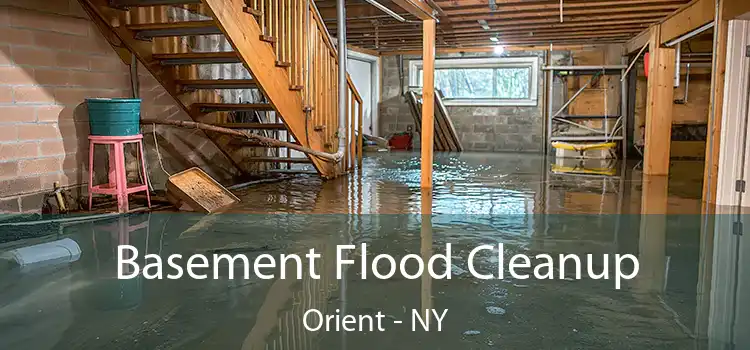 Basement Flood Cleanup Orient - NY