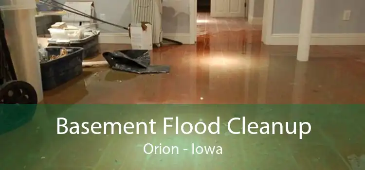 Basement Flood Cleanup Orion - Iowa