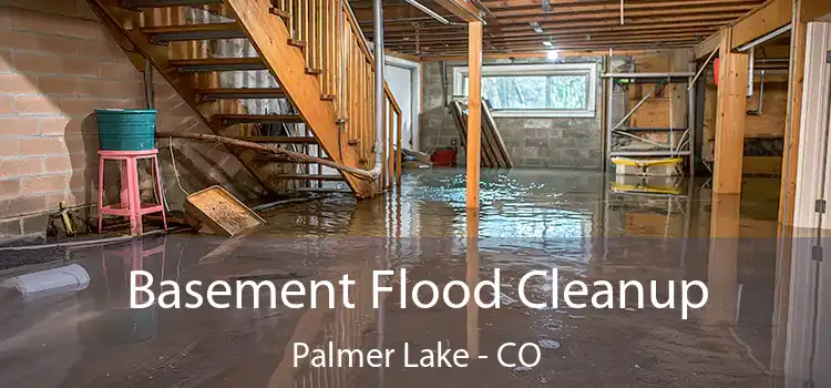 Basement Flood Cleanup Palmer Lake - CO