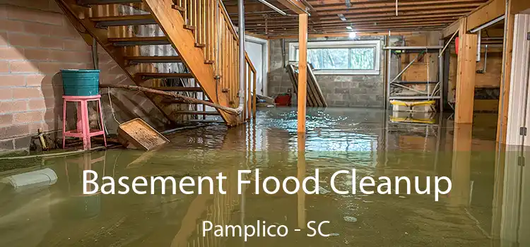 Basement Flood Cleanup Pamplico - SC