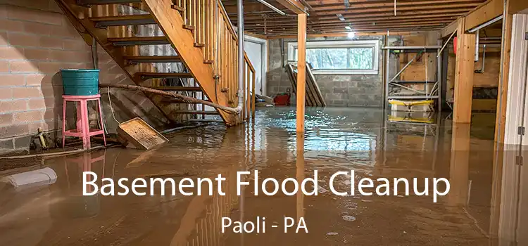 Basement Flood Cleanup Paoli - PA