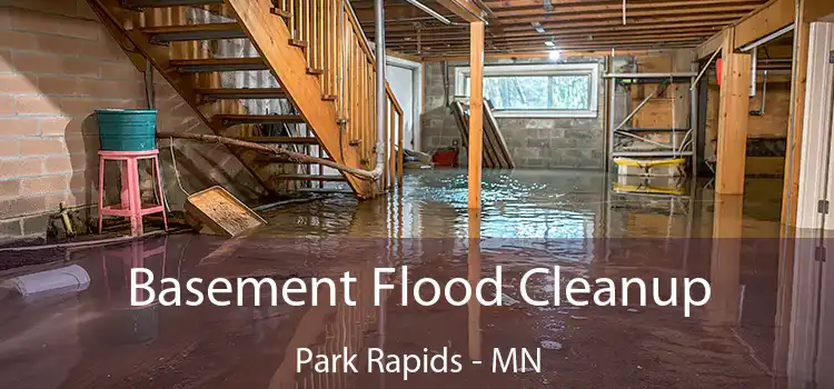 Basement Flood Cleanup Park Rapids - MN