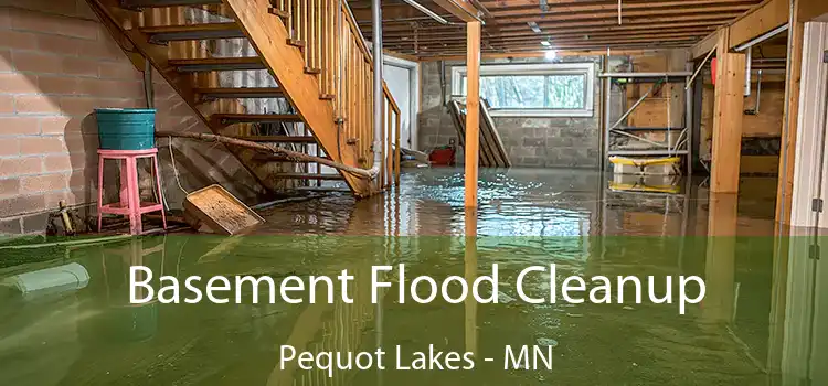 Basement Flood Cleanup Pequot Lakes - MN