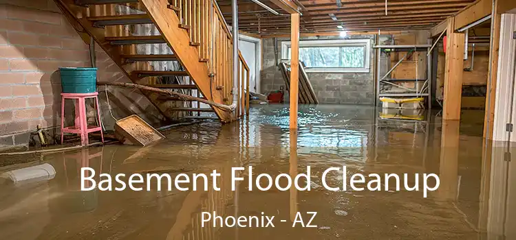 Basement Flood Cleanup Phoenix - AZ