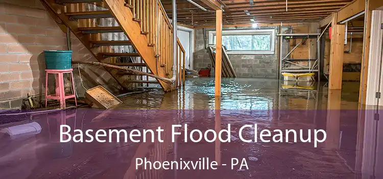 Basement Flood Cleanup Phoenixville - PA