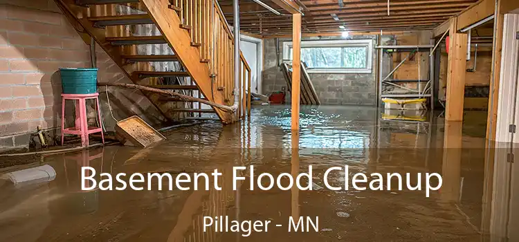 Basement Flood Cleanup Pillager - MN